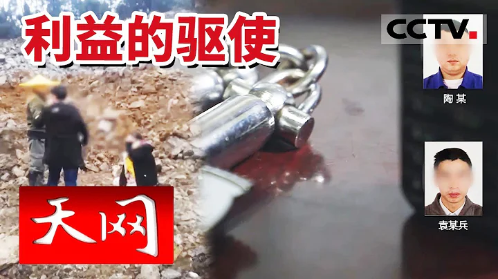 《天網》昔日生意夥伴反目成仇 互相舉報 生意背後隱藏了怎樣的非法鏈條？20230707 | CCTV社會與法 - 天天要聞