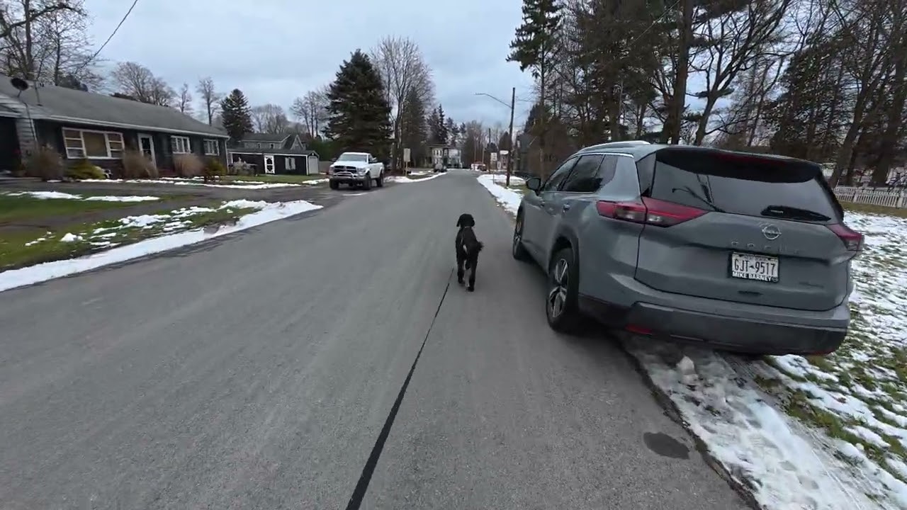 A Walk in Dundee (NY) on Christmas Day (2025.12.25)