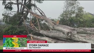 Atmospheric River: Trees downed due to strong winds along San Mateo County coast