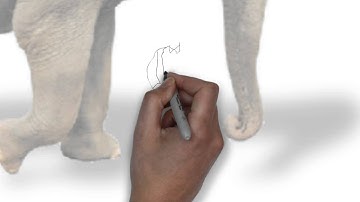 How Big is Big Data?