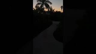 Daily snaps 9/29/21