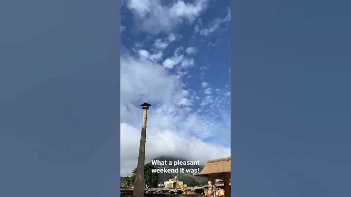 weekend throwback #shorts #youtubeshorts #youtube #nature #doglover