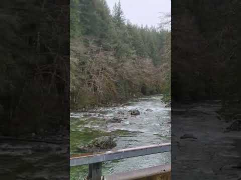 Video: Սկյկոմիշ գետը բաց է ձկնորսության համար: