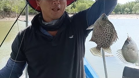 Câu cá Tráp cùng thợ săn cá Tráp, cá Nâu | Trúng ổ cá Tráp, cá Nâu | Sông Nước Cần Giờ - Châu Huỳnh.