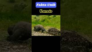 Fakta unik komodo
