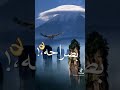 اغنية انتي ملكه اغنية انتي ملكه