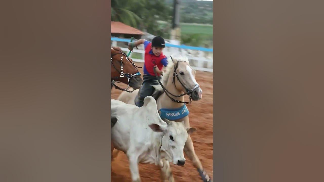 🟤DE PAI PARA FILHO VAQUEJADA PARA STATUS #2022 #vaquejada