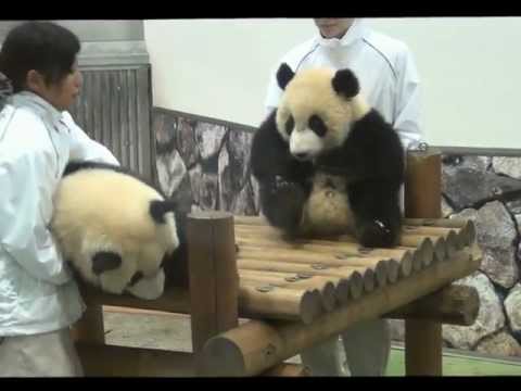 201107良浜海浜陽浜収納