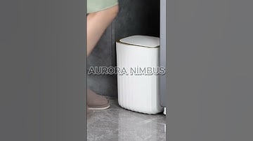 "The Smart Trash Can That Opens Without Touch!" (auroranimbus.com)