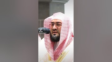 تلاوة هادئة من فضيلة الشيخ بندر بليلة سورة الهمزة #إمام_الحرم #تلاوة_خاشعة #سورة_الهمزة #بندر_بليلة