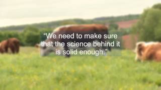 TB Free England Explained: Cattle Vaccination