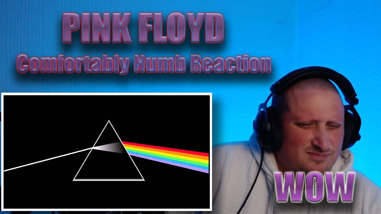 PINK FLOYD Comfortably Numb Reaction YouTube