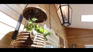 1118 Cindy Hill Crescent