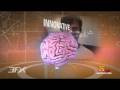 History channel promo the brain