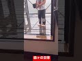 生まれるところが違うかったら息子。#tiktok #short
