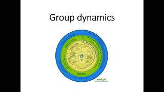 12.5 Group dynamics