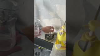No residue left behind.#cupwasher #glassrinser #quickclean #kitchenupgrade #fyp
