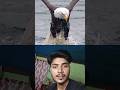 Eagle 🦅 Empire 😱😱 #shorts #short #shortvideo #youtubeshorts #satisfying #eagles #trending #collab