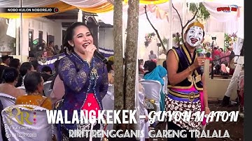 WALANG KEKEK - GUYON MATON || Ririt Rengganis - Gareng Tralala