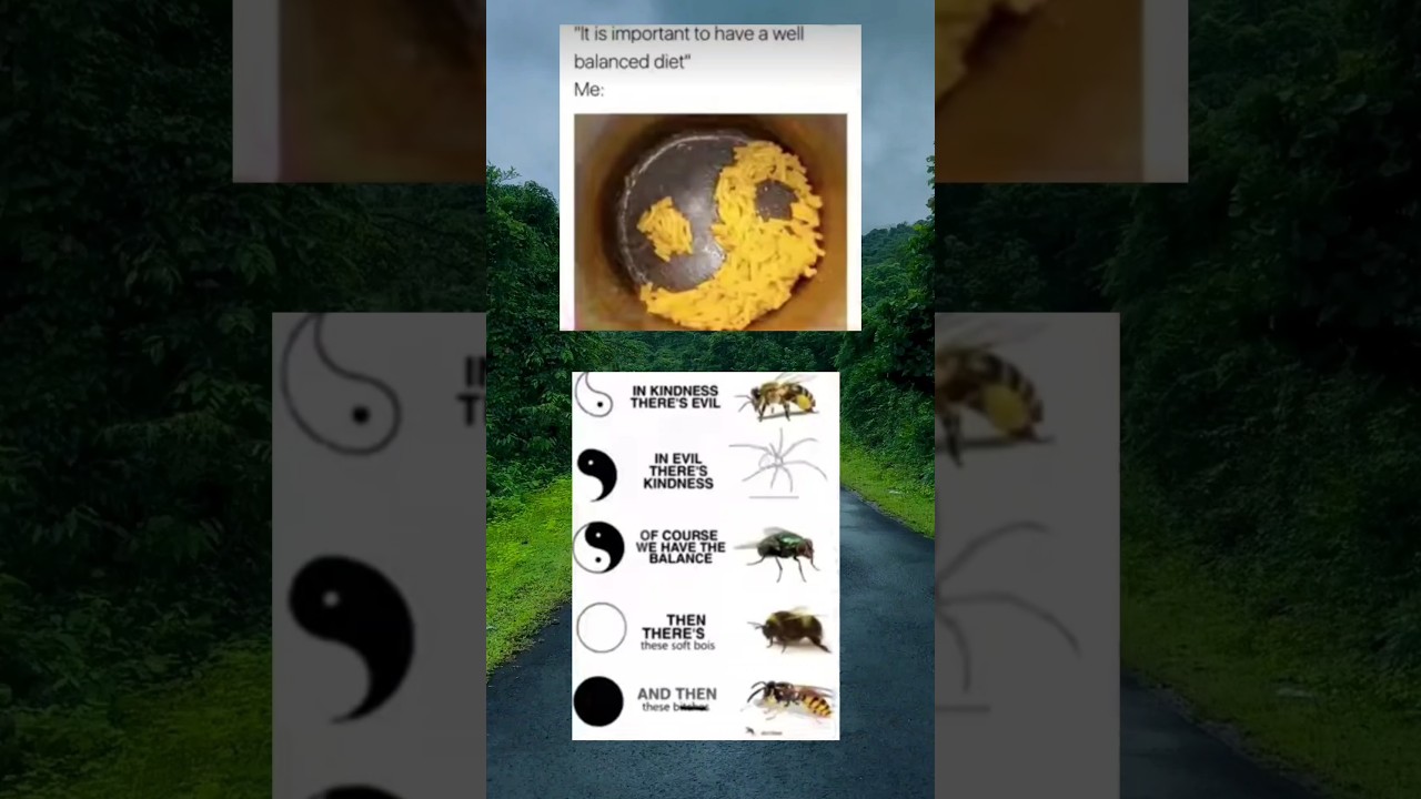 it is important to have a well balanced diet 😂😂