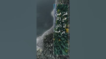 أرح سمعك تلاوه هاديه تريح القلب والعقل بصوت يوسف المرهون