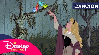 Sing Along Eres Tú De La Bella Durmiente Disney Channel España Oficial