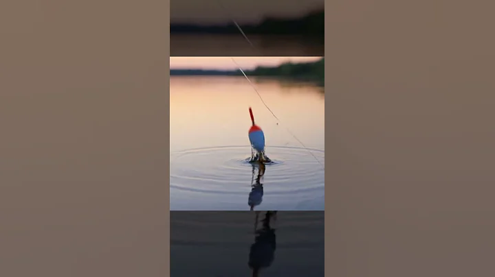 fishing #barehandfishing #catchoftheday #crazycatch