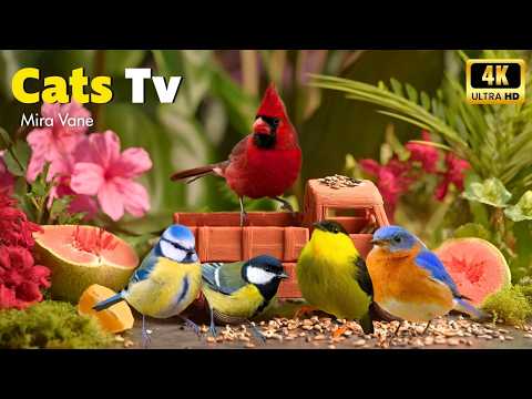 4K Cat TV 😽 Tropical Garden Birds Chirping – Nature’s Beautiful Display for Your Cat’s Relaxation 🐾✨