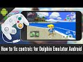 How to fix controls for Dolphin Emulator Android