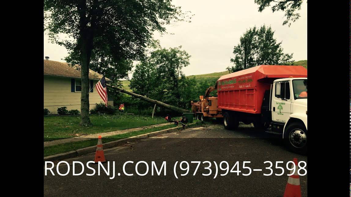 Tree Trimming Kinnelon NJ