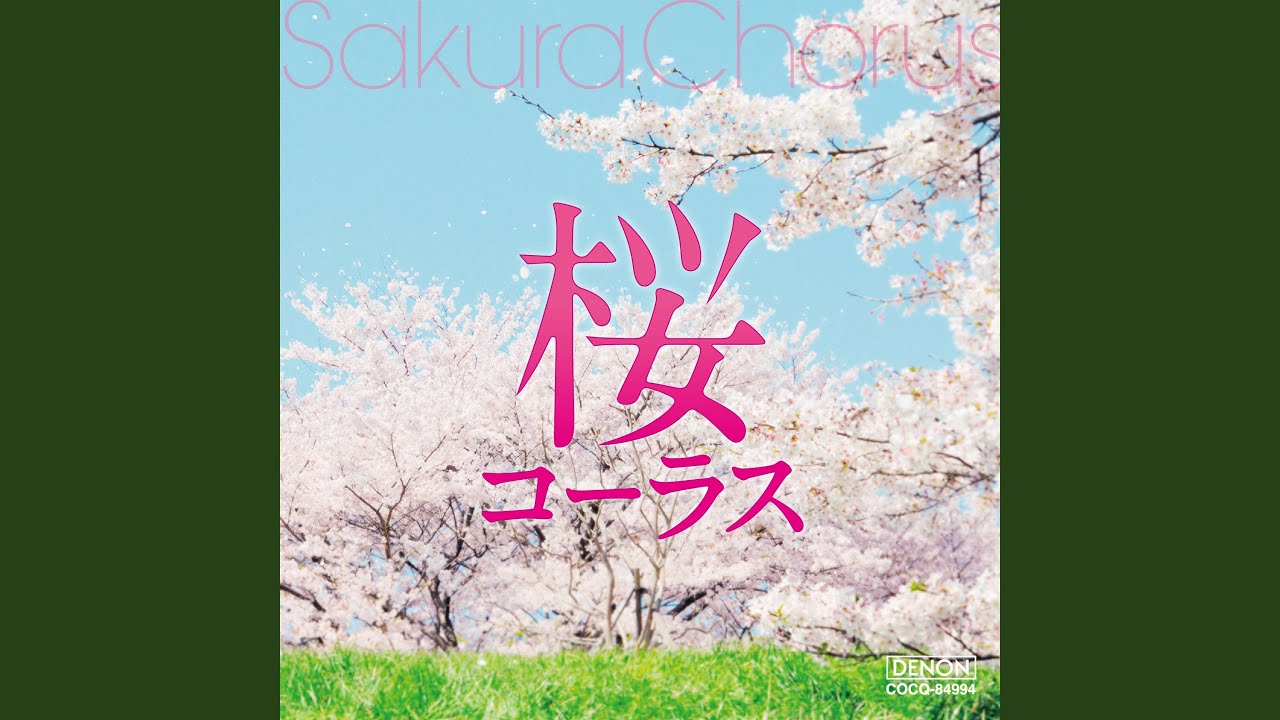 桜の花びらたち