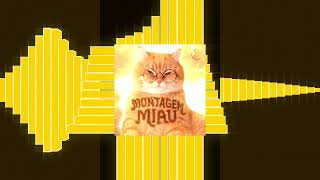 Montagem Miau Sped Up 1 Hour Funk Visualiser