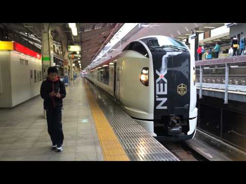 E259系 マリンエクスプレス踊り子 東京駅発車&子供の割り込み？
