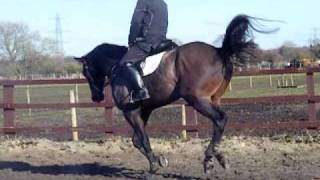 DSCF8333.AVI