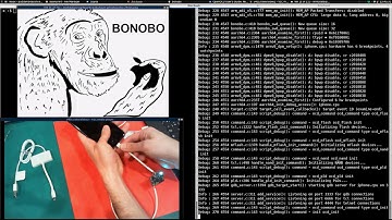 Iphone GDB with OpenOCD with LambdaConcept Bonobo Cable !