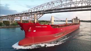 FEDERAL SAKURA - Upbound Port Huron, Michigan 8-17-2023