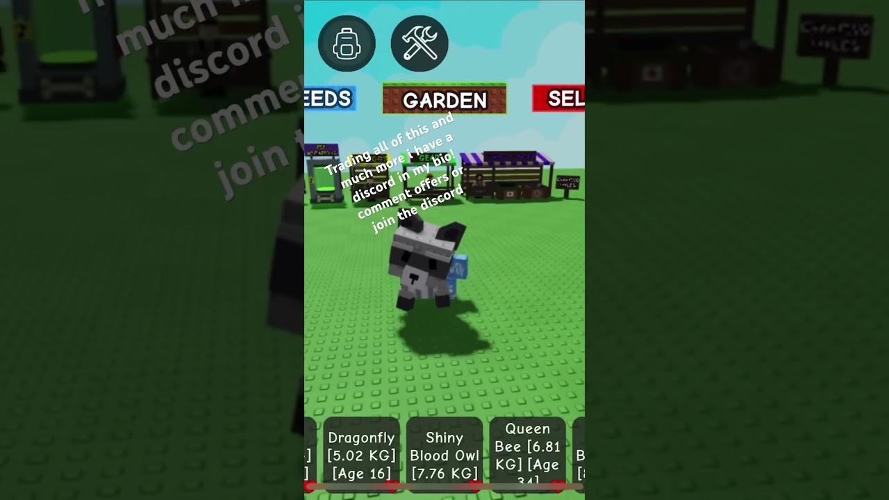 Trading all of this and much more