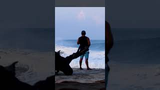 MONSTROUS WAVES // BIGGEST SWELL OF THE YEAR IN PUERTO ESCONDIDO #Surfing #BigWaveSurfing #bigwaves