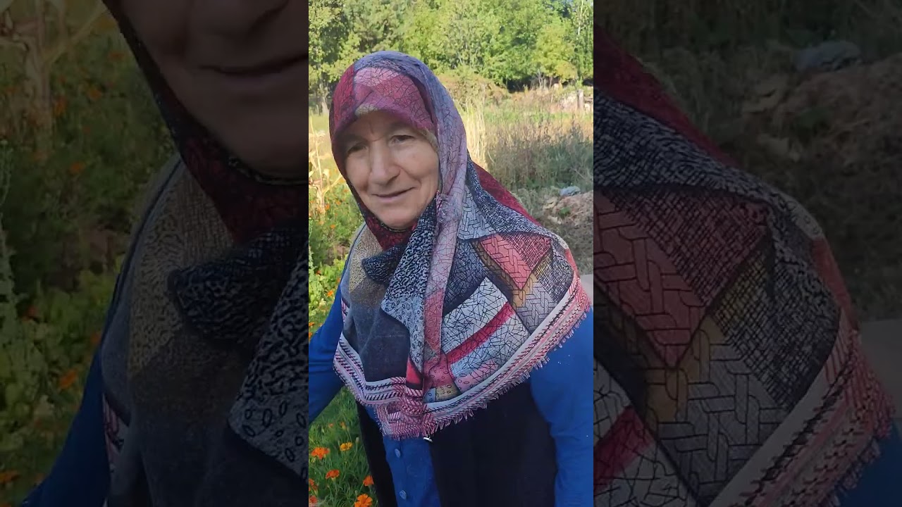 Sivas Suşehri gökçekaş köyü.