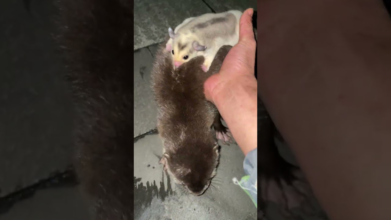 Health & happiness. Perfect. 