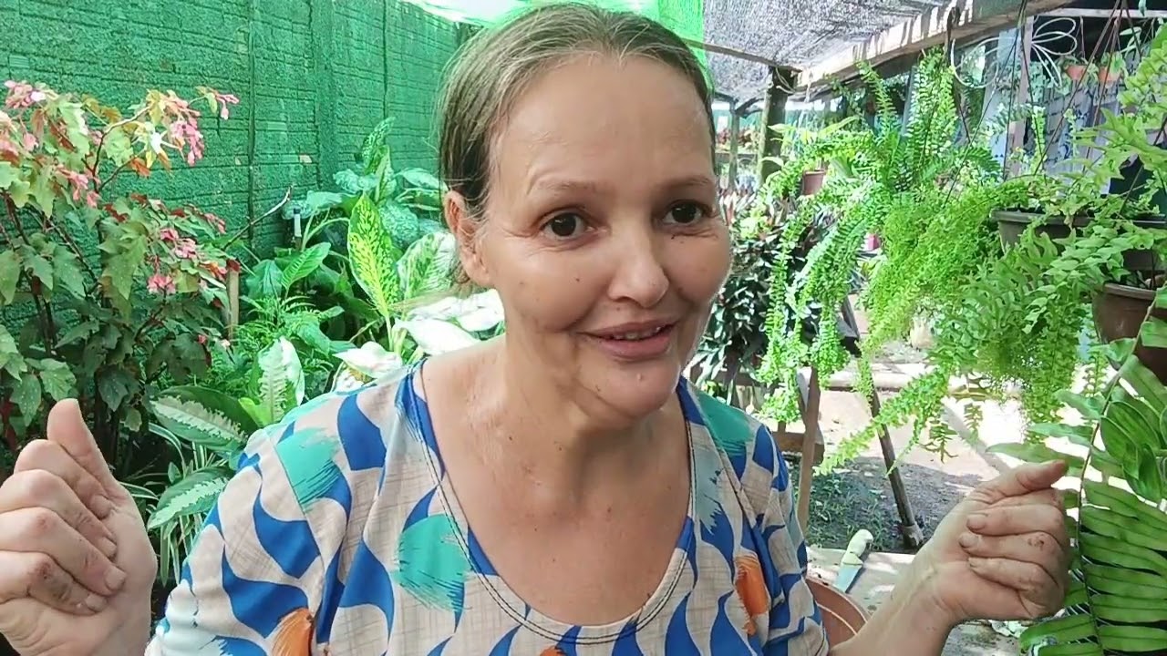 Lindas plantas com muito amor e felicidade no coração ❤️❤️