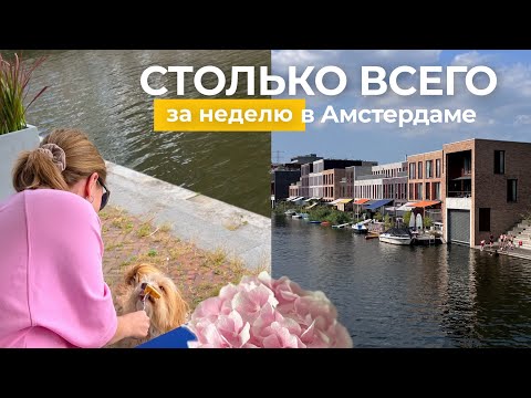 Вернулась в Амстердам | СТОЛЬКО всего случилось | Такого дня рождения сына я точно не ожидала! 🎉😵