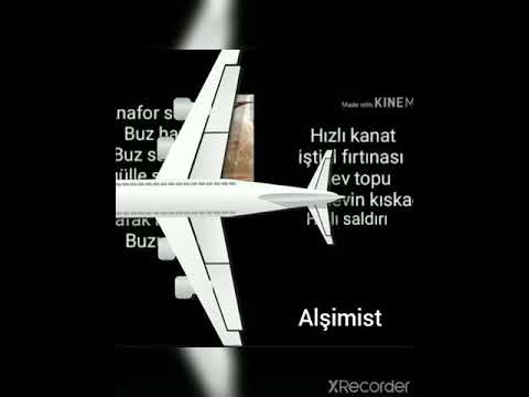 CİLLE KARTLARI (10) TANE