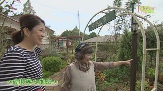 素敵にフラワーライフ　「ガーデナー＠石川君代さん」ガーデニング・庭づくり