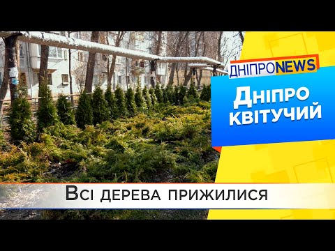 Парки Дніпра прокидаються після зими. Які роботи ведуться?