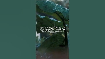 سورة الذاريات: الآيات (٢٠. ٢١. ٢٢) #quran #quotes #اذكار #القرآن_الكريم