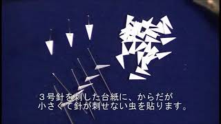 昆虫標本 道具 - YouTube