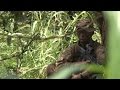 Jungle Combat: Back to Belize | Forces TV