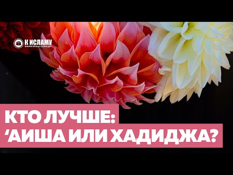 Кто лучше: Аиша или Хадиджа (да будет доволен ими Аллах)? Забытые Сунны. Ринат Абу Мухаммад