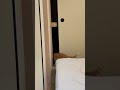 開けゴマが成功した茶トラ猫ササミ